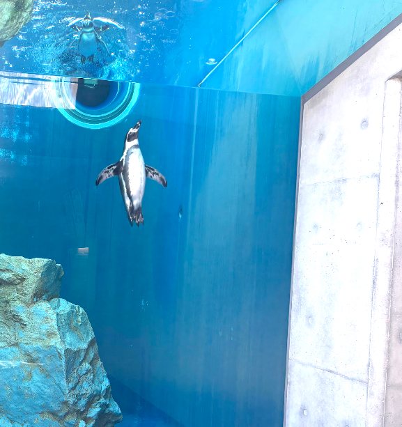 垂直ペンギン