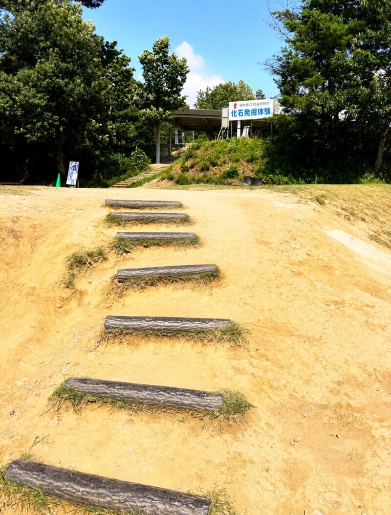 かつやま恐竜の森道中